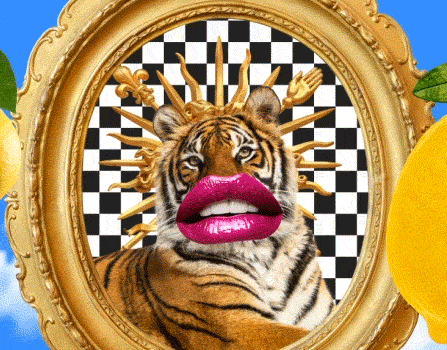 Chantal Caduff GIF Artistes Humour - Fun 