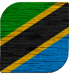 Carré Tanzanie Afrique Drapeaux 