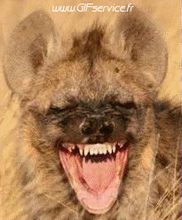 People Serie 01 People - Vip Morphing - Sehen Sie aus wie Humor -  Fun 