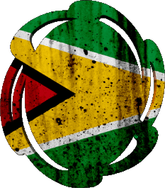 Form 01 Guyana Amerika Fahnen 