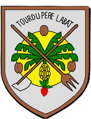 BAILLIF 971 Dipartimenti - Città Francia Bandiere 