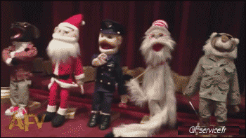 03 Perros Animales Humor - Fun 