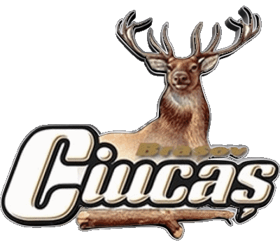 Ciucas Romania Beers Drinks 