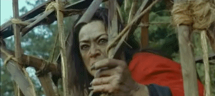 01 - Video Les Visiteurs Cinéma - France Multi Média 