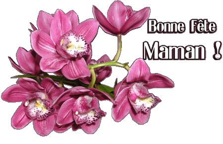 020 Bonne Fête Maman Français Messages 