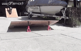 02 Dogs Animals Humor -  Fun 