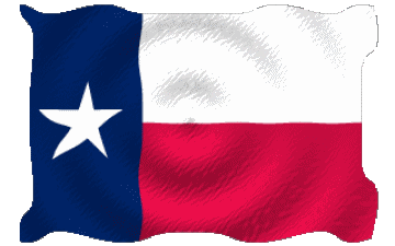 Welligkeit Texas U.S.A - States Amerika Fahnen 