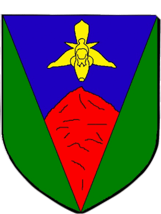 Blasón-Blasón LE TAMPON 974 Departamentos - Ciudades Francia Banderas 