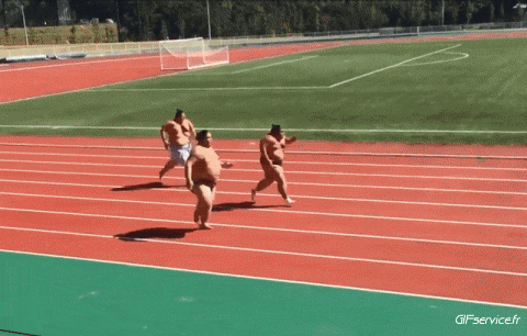 Sumo Deportes Humor - Fun 