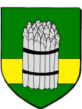 Wappen-Wappen VINEUIL 41 Abteilungen - Städte Frankreich Fahnen 