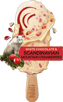 Nuii Glaces Nourriture 