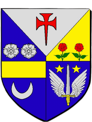 Blason-Blason SAVIGNY LE TEMPLE 77 Départements - Villes France Drapeaux 