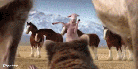 01 Oveja Animales Humor - Fun 