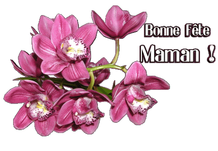 020 Bonne Fête Maman Français Messages 