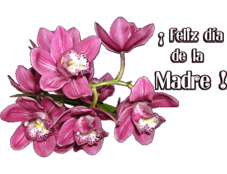 020 Feliz día de la madre Spanish Messages 