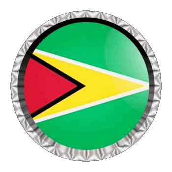 Rond - Anneaux Guyana Amériques Drapeaux 