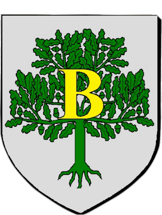 Blason-Blason LABRUGUIERE 81 Départements - Villes France Drapeaux 