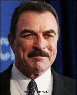 tom selleck-tom selleck People Serie 02 People - Vip Morphing - Sembra Umorismo -  Fun 