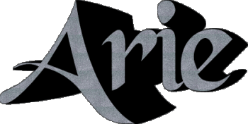 Arie A MANN - UK - USA - IRL - AUS - NZ Vorname 