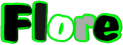 Flore F FEMININ - France Prénoms 