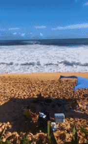 Von Seaside Orte Humor -  Fun 