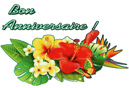 001 Sfondo trasparente Floral Bon Anniversaire Francese Messagi 
