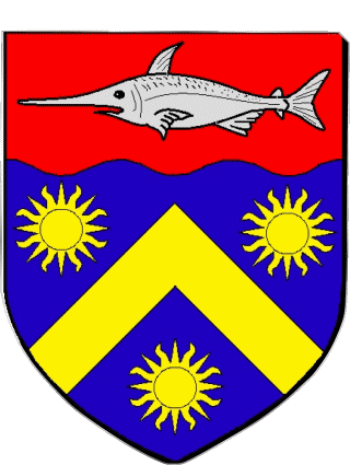 Wappen-Wappen DESHAIES 971 Abteilungen - Städte Frankreich Fahnen 