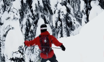 Free Ride Fun Win Esquí Deportes Humor - Fun 