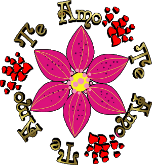 01 Te Amo Espagnol Messages 