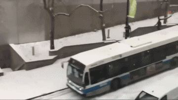Accident Fail Bus Transport Humor -  Fun 