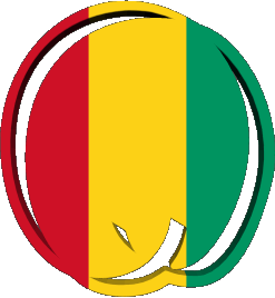 Forme 02 Guinée Afrique Drapeaux 