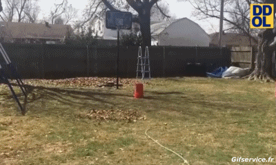 Fail Basketball Sport Humor -  Fun 