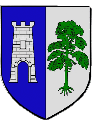 LA TOUR DU PIN 38 Departamentos - Ciudades Francia Banderas 