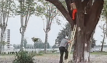 Les Fous du Stade - Vidéo Les Charlots Filme Frankreich Multimedia 