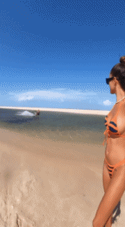 Fun Win Kite Surf Deportes Humor - Fun 