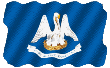 Ondulation Louisiane U.S.A - Etats Amériques Drapeaux 
