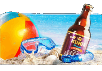 King's-Ggoa India Beers Drinks 