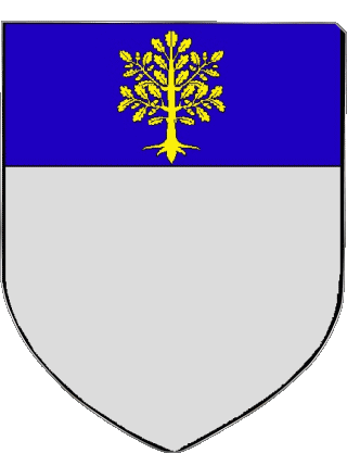 SENAS 13 Departamentos - Ciudades Francia Banderas 