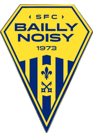 SFCBN - Standard  Bailly Noisy le Roi 78 - Yvelines Ile-de-France FootBall Club France Sports 