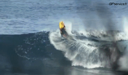 Fun - Win Surf Sport Humor -  Fun 