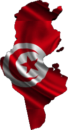 Carte Tunisie Afrique Drapeaux 