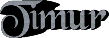 Timur T MASCULINE - Maghreb Muslim First Names 