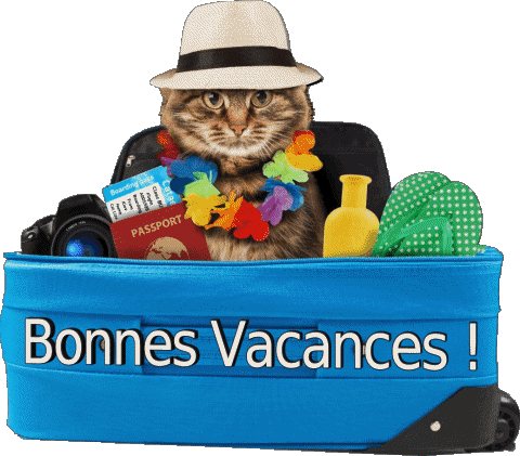 12 Fondo transparente Bonnes Vacances Francés Mensajes 