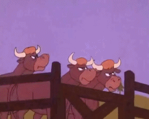 Motors Race Video GIF - 06 Les Fous du volant Dessins Animés TV Cinéma Multi Média 