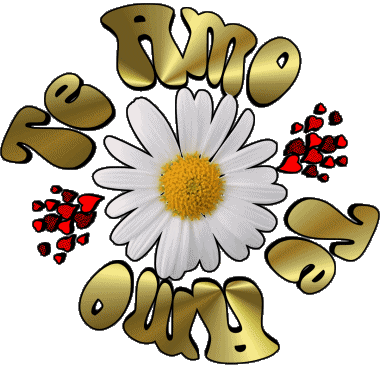 04 Te Amo Spanish Messages 