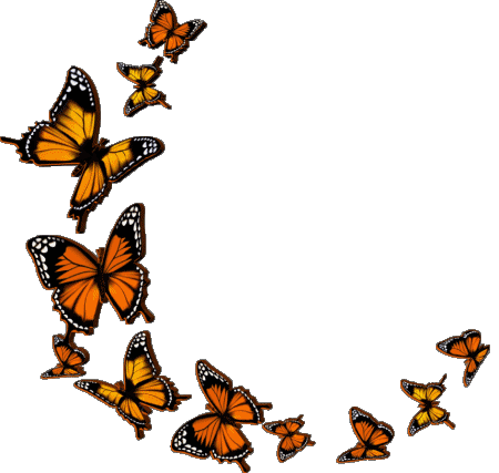 009 Fondo transparente Papillons Bon Anniversaire Francés Mensajes 