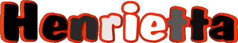 Henrietta H WEIBLICH - Frankreich Vorname 