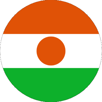 Tondo Niger Africa Bandiere 