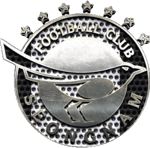 Seongnam FC Corea del Sur Fútbol  Clubes Asia Logo Deportes 