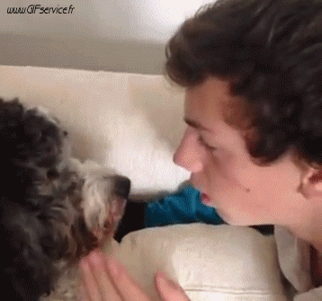 02 Hunde Tiere Humor -  Fun 